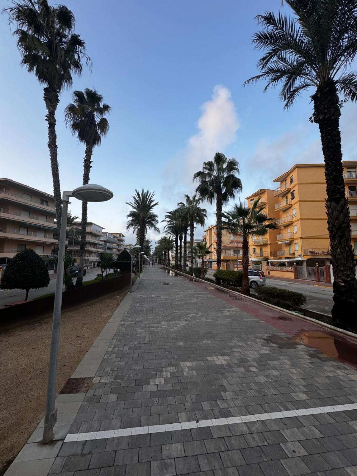 Entero Primera Linea De Playa, Pet Friendly Apartment *